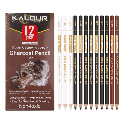 Kalour 12 Highlight Black, White, and Brown Charcoal Sketching Pencils